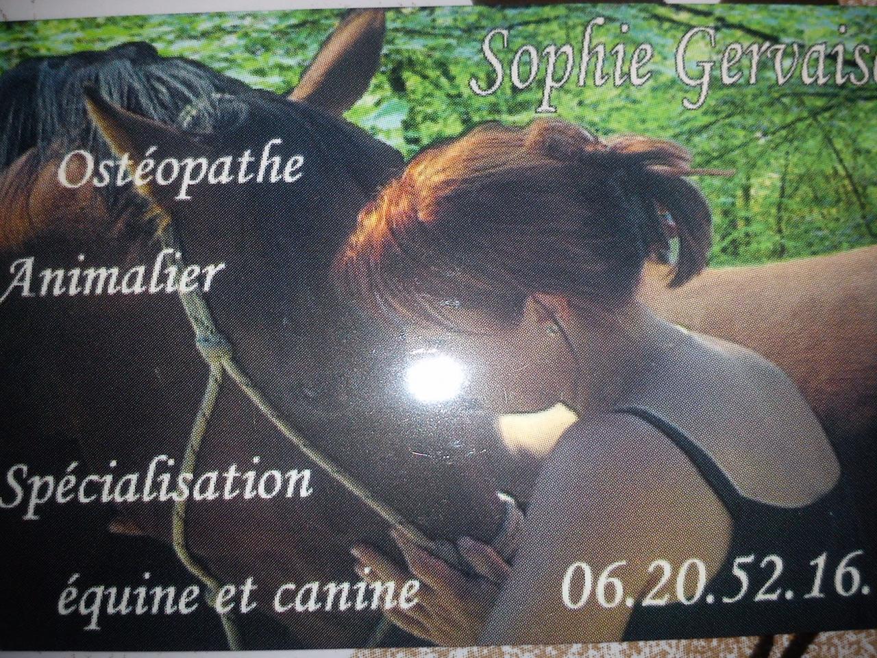 Mme GERVAISE